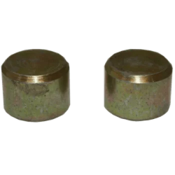 Bulldog WS09 Bolt Caps for WS3000H